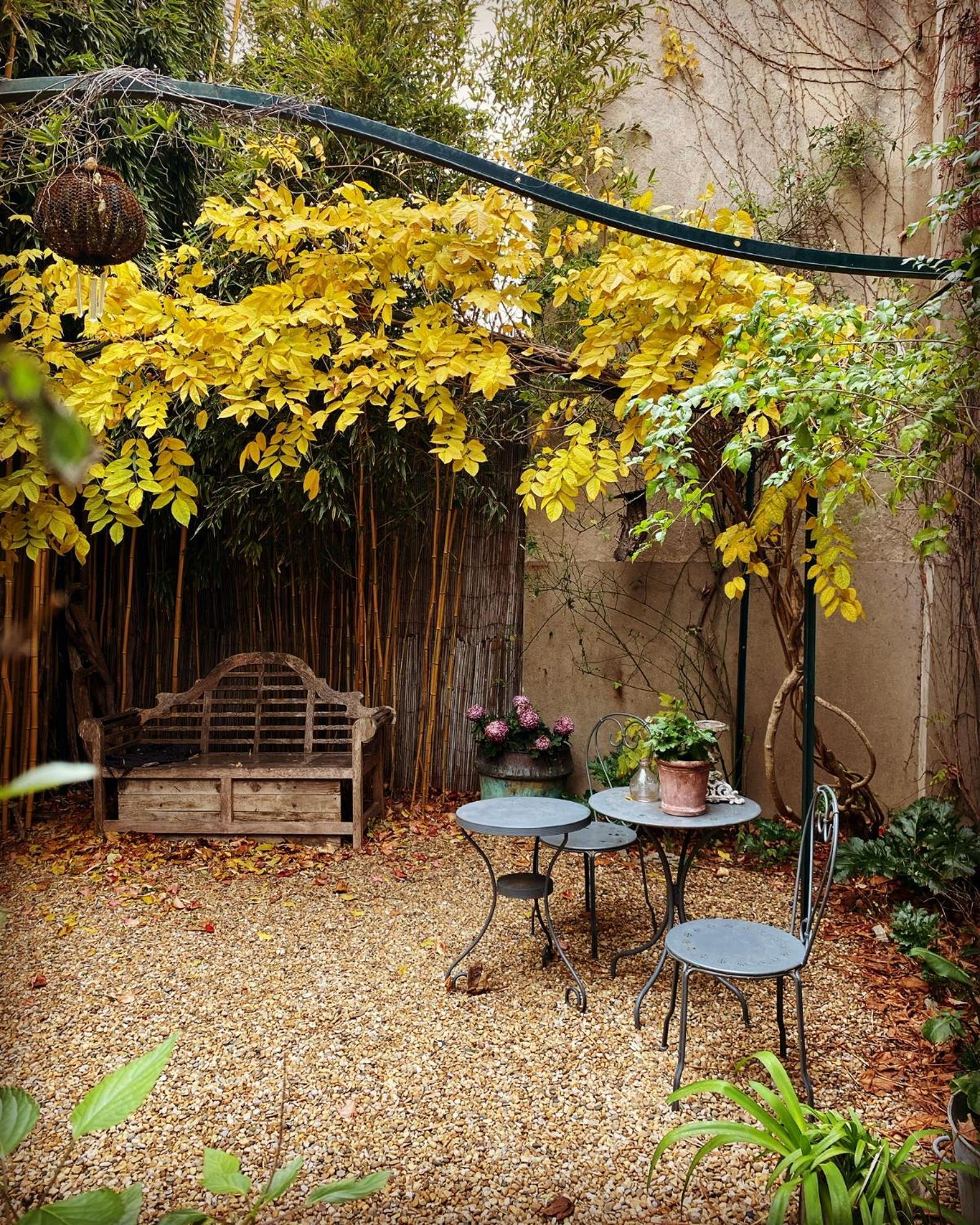 Le Logis Blanc Bed&Breakfast Coursan Exterior foto