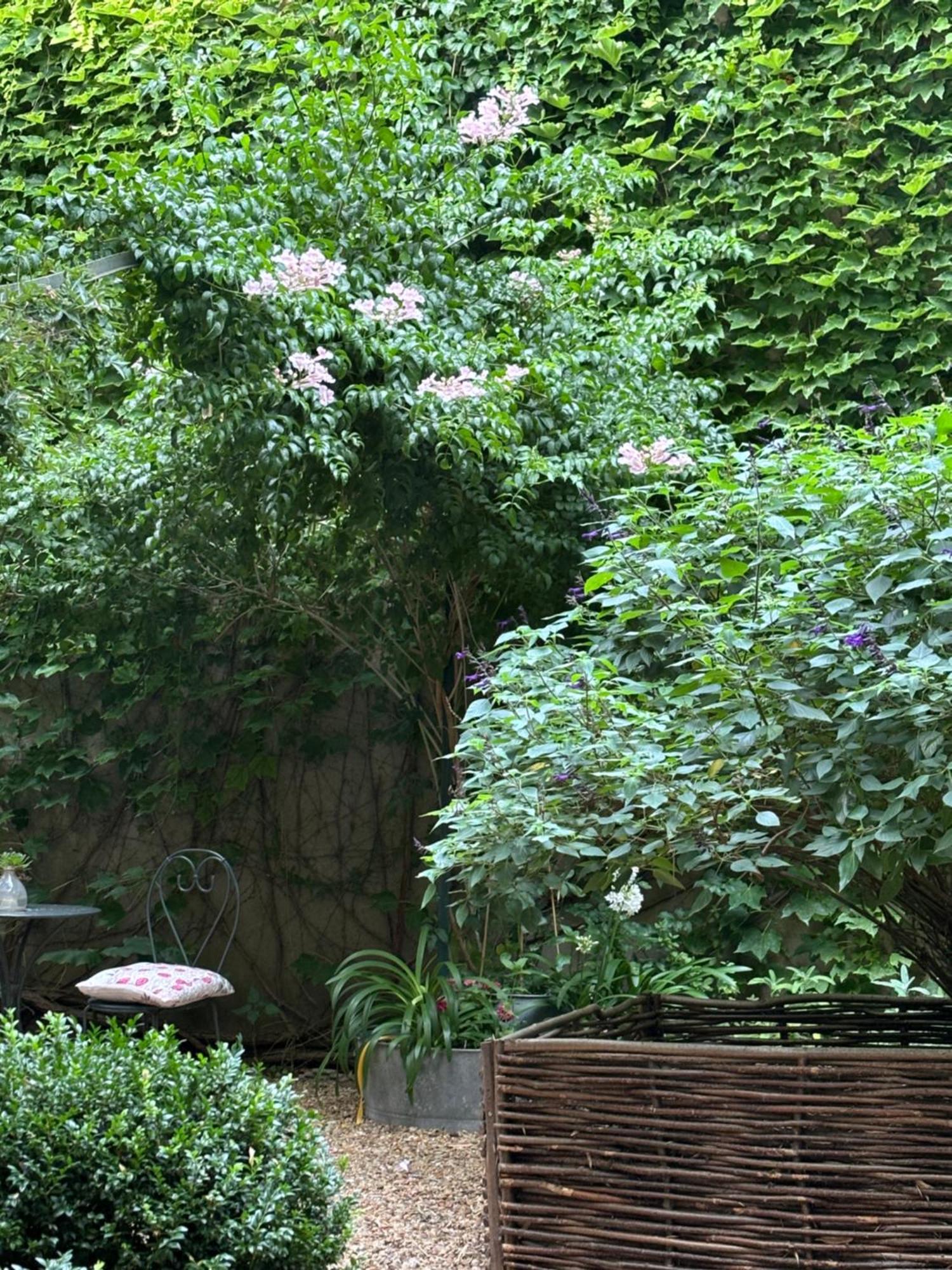 Le Logis Blanc Bed&Breakfast Coursan Exterior foto